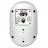 Громкоговоритель настенный Show CSB-10T/WH